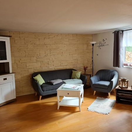 Haus Steindoebra Villa Klingenthal Luaran gambar