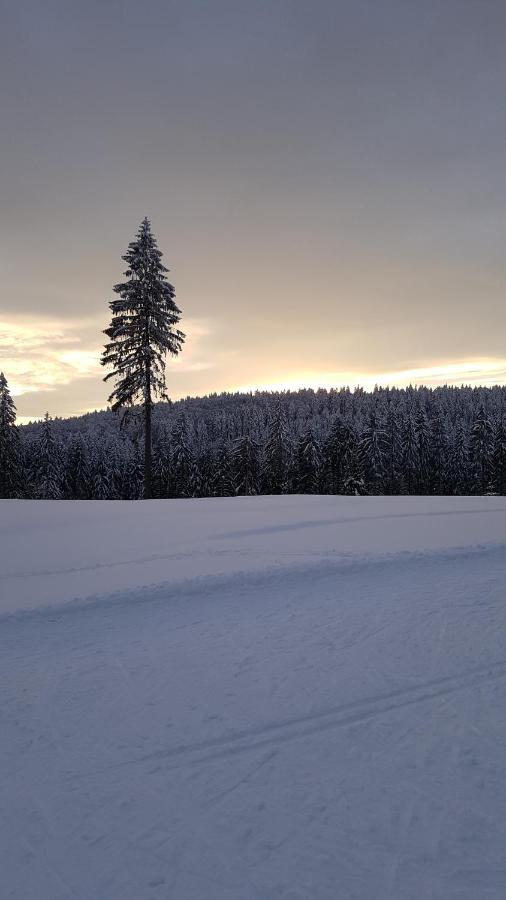 Haus Steindoebra Villa Klingenthal Luaran gambar