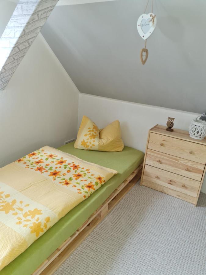 Haus Steindoebra Villa Klingenthal Luaran gambar
